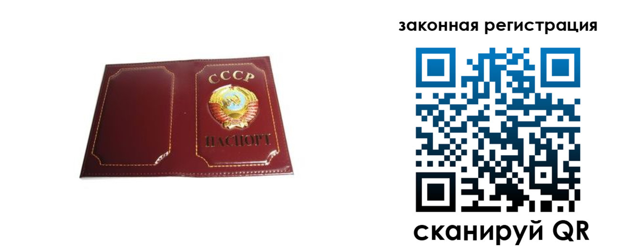 прописка поиск в Лузе